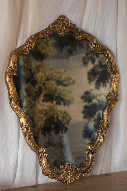Gold Ornate Shield Mirror
