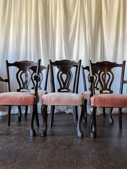 Set of Six Dark Wood Dining Chairs with Blush Upholstered Seats