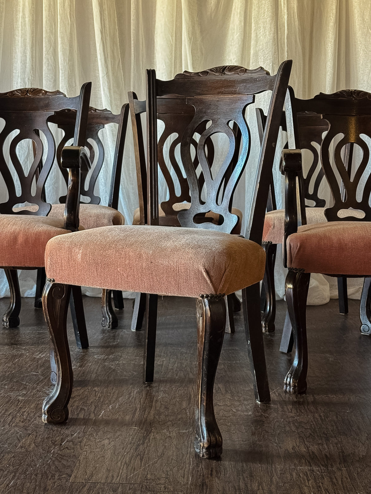 Set of Six Dark Wood Dining Chairs with Blush Upholstered Seats