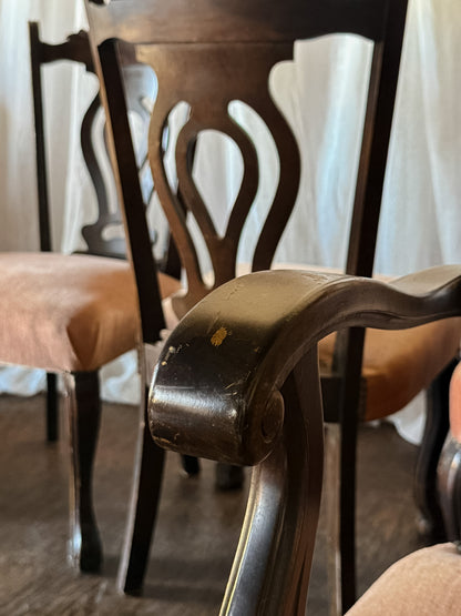 Set of Six Dark Wood Dining Chairs with Blush Upholstered Seats