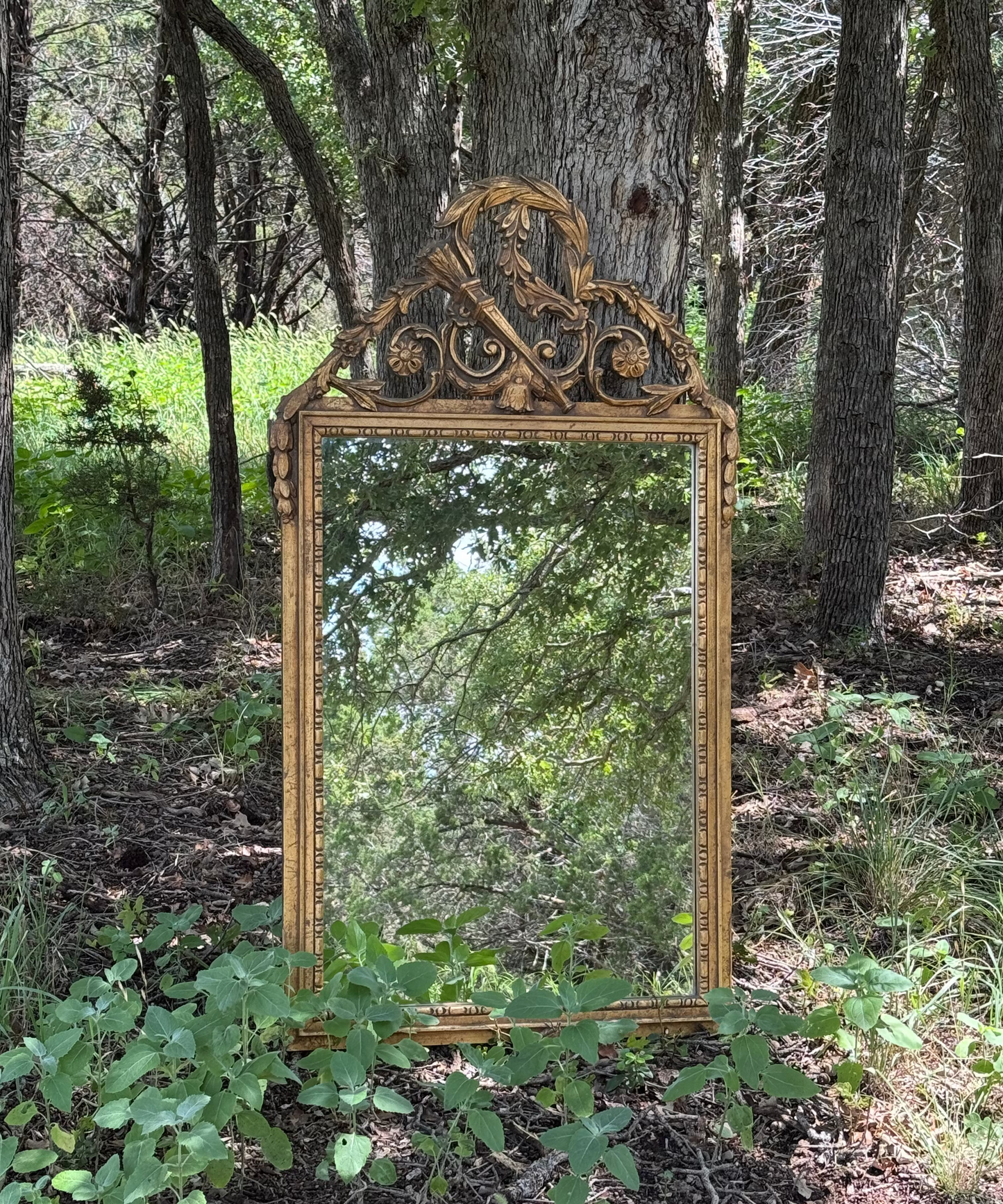 Carved Top Mirror-Giltwood