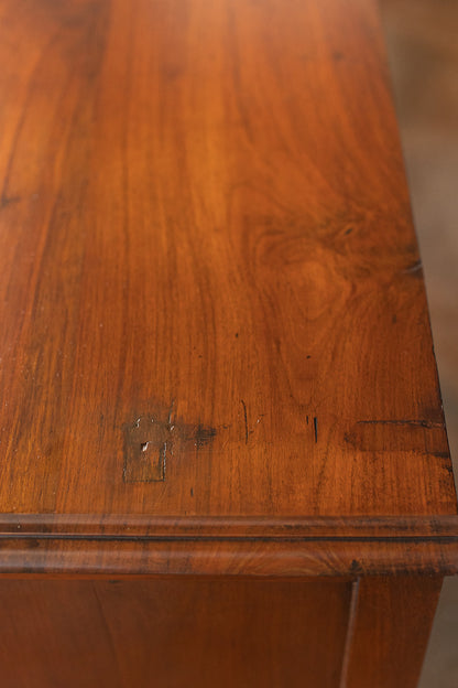 19th Century Four Drawer Burl Wood Chest on Casters