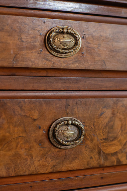 19th Century Four Drawer Burl Wood Chest on Casters