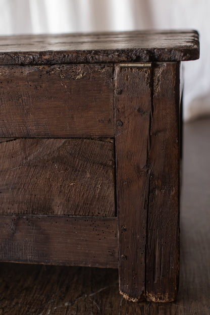 Antique European Paneled Oak Trunk