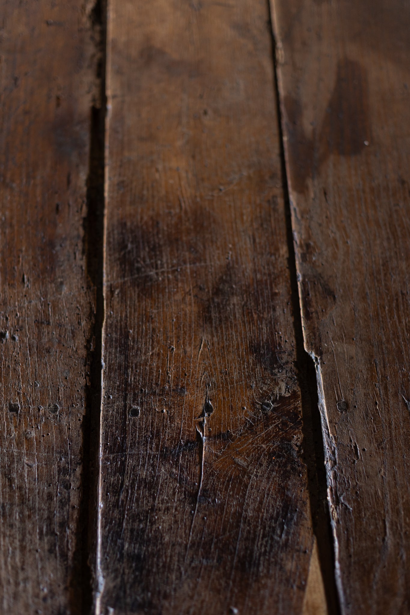 Antique European Paneled Oak Trunk