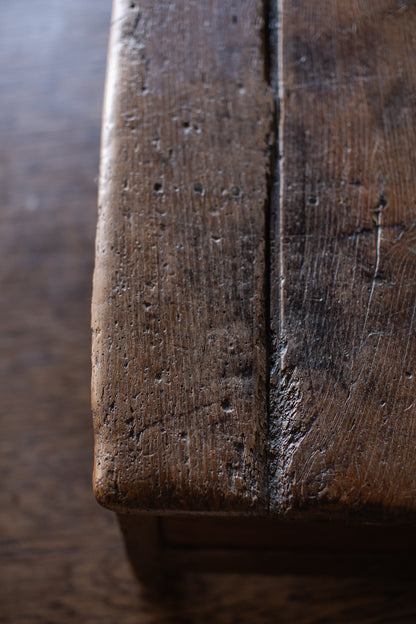 Antique European Paneled Oak Trunk