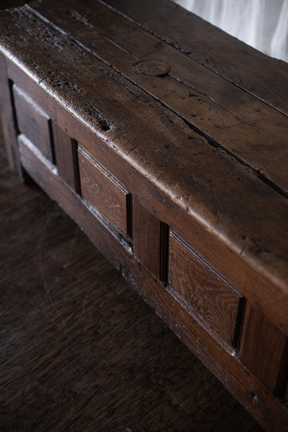 Antique European Paneled Oak Trunk