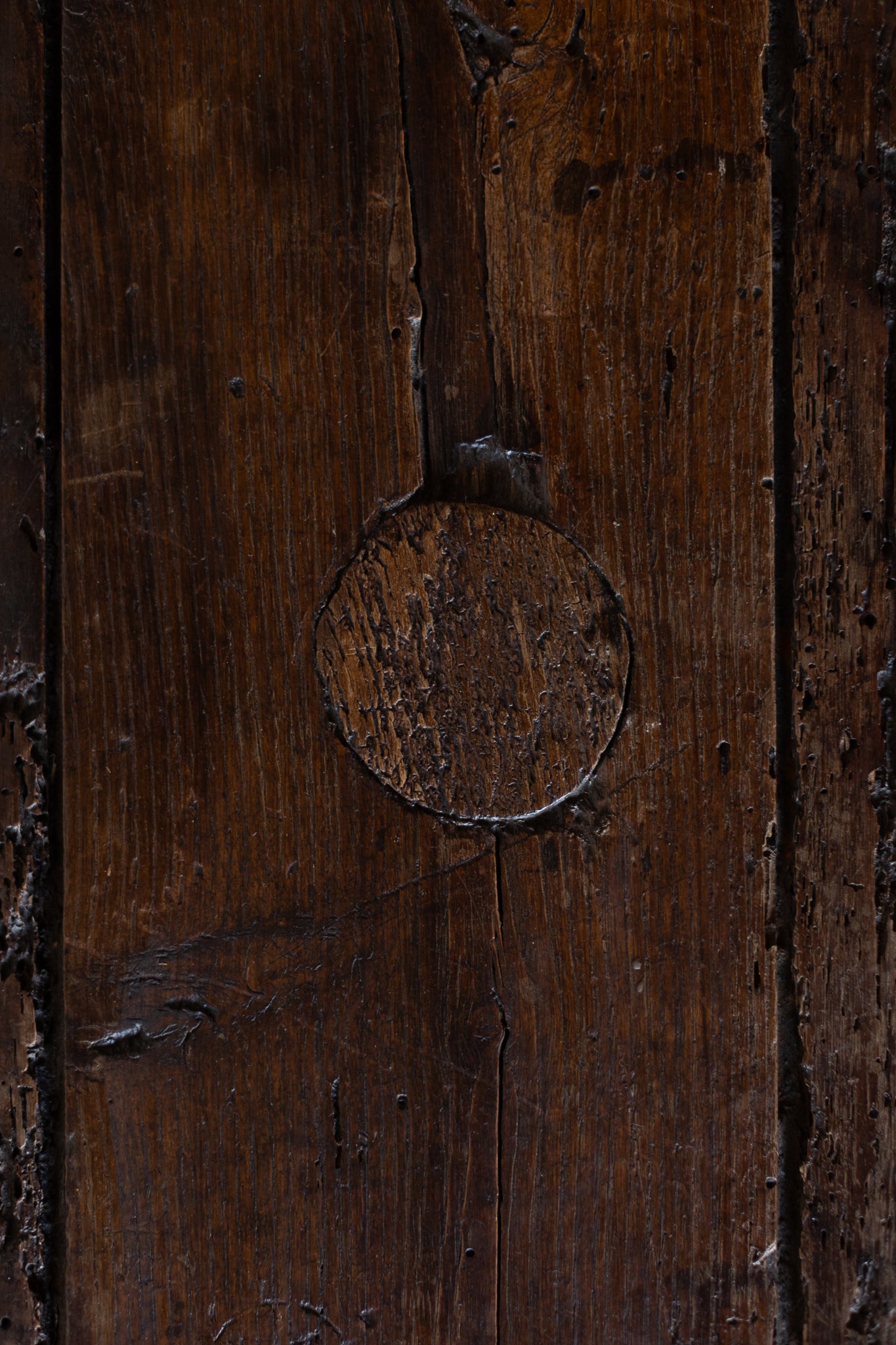 Antique European Paneled Oak Trunk