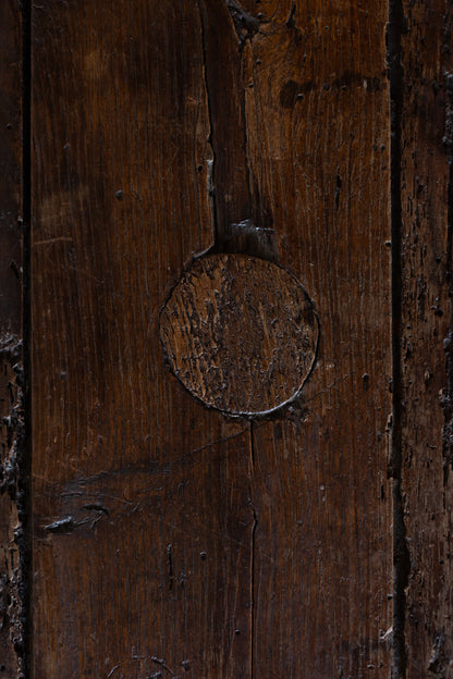 Antique European Paneled Oak Trunk