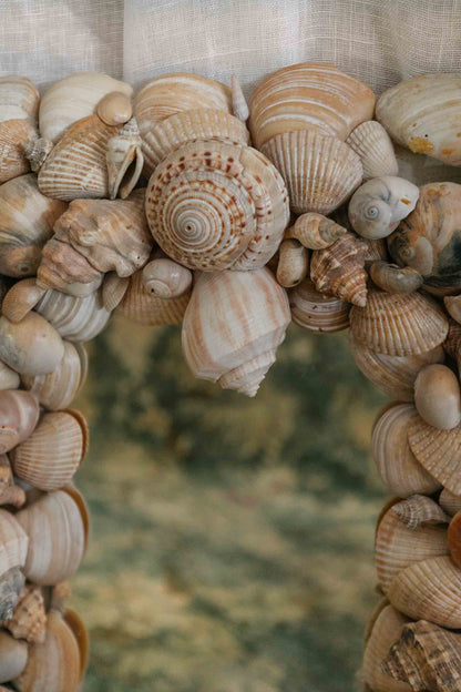 Shell Mirror